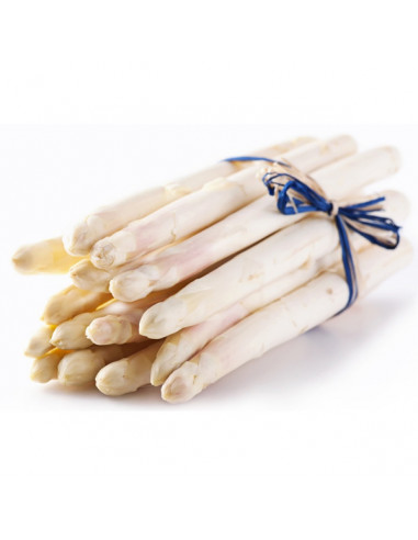 Esparrago de Navarra 1Kg