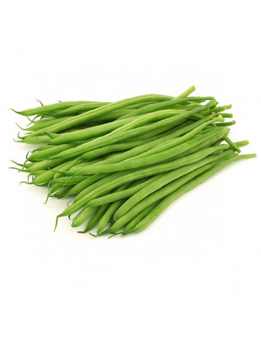 Judía verde extra